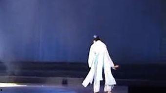 成人古典独舞视频教学大全,视频教学大全解析