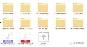 浮力板成人初学视频教程,成人初学者视频教程全解析